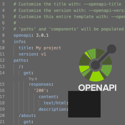 Automatically Generate and Update OpenAPI Documentation