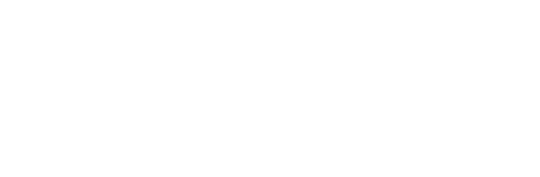 MongoDB Partner